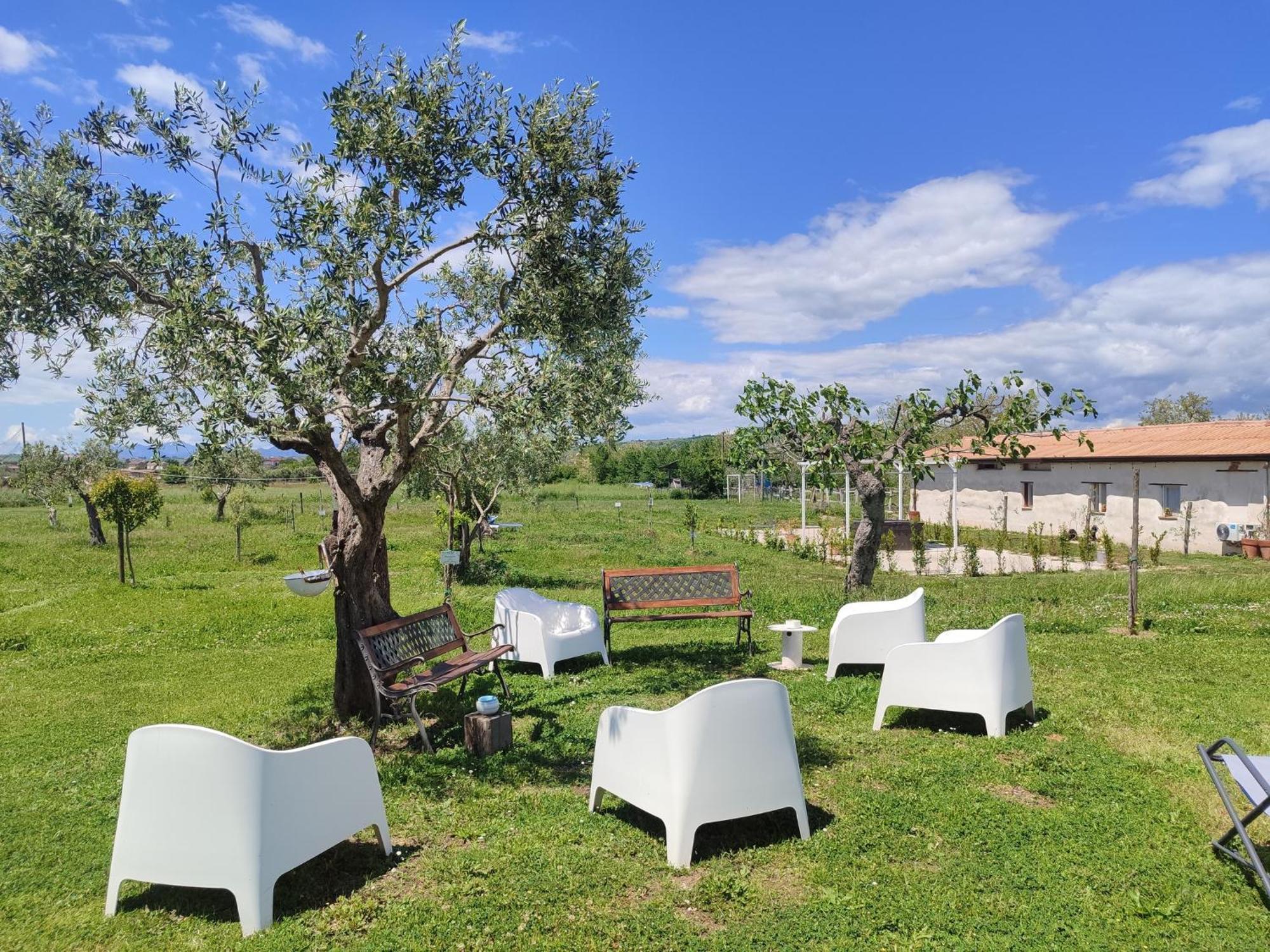 Masseria Fontana Dei Fieri Pietrelcina Exteriör bild