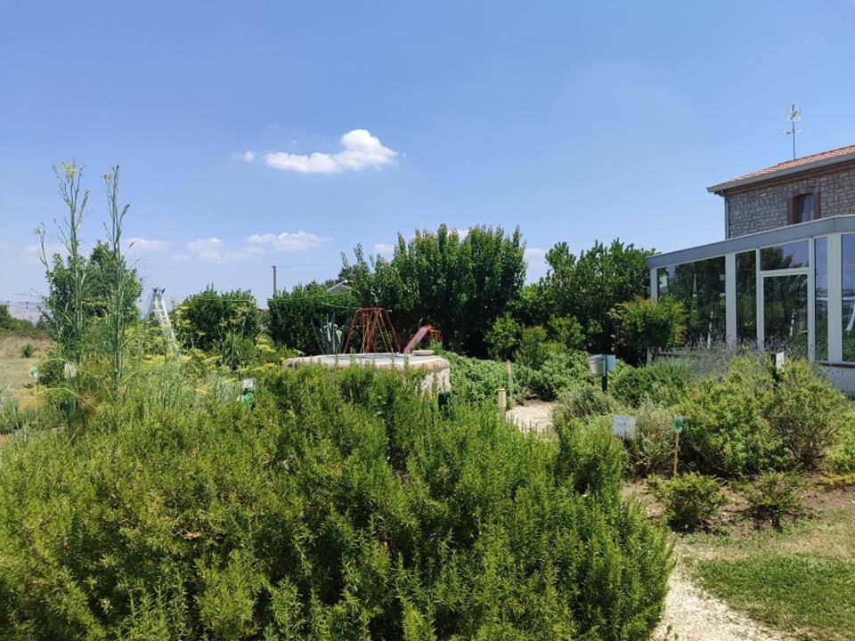Masseria Fontana Dei Fieri Pietrelcina Exteriör bild